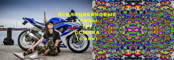 тгк Пестово