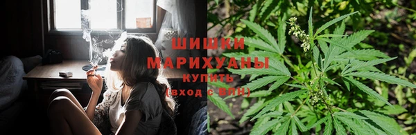 СК Алзамай