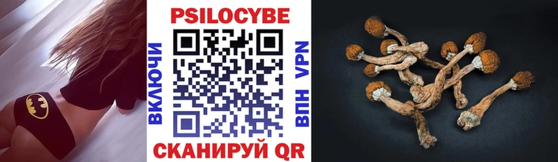 omg ССЫЛКА  наркота  Талица  Псилоцибиновые грибы Cubensis 
